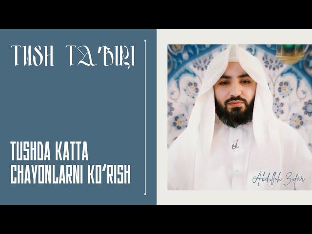 Tush taʼbiri-76 | Tushda chayon koʻrsa | Shayx Abdulloh Zufar hafizahulloh