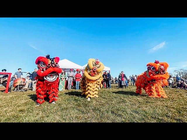 Elk Grove Celebrates Lunar New Year Celebration With Lion Dances - Elk Grove Tribune