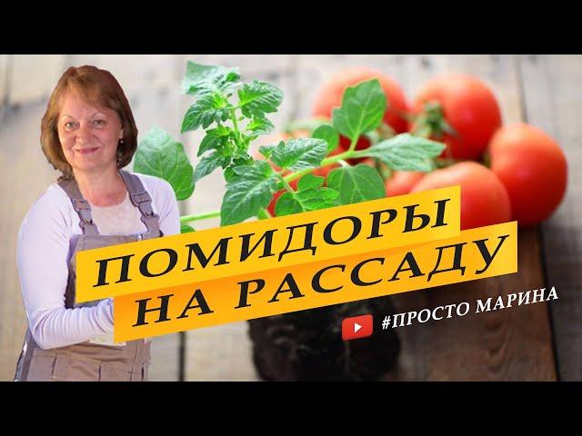 Посев семян томатов на рассаду.