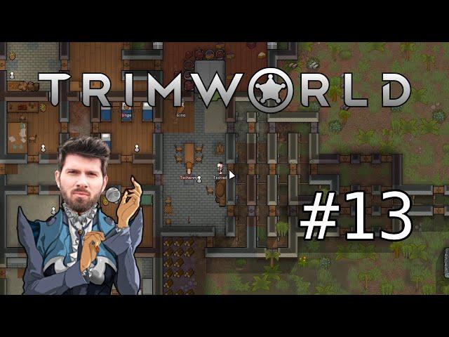 (T)RimWorld #13 mit Matteo