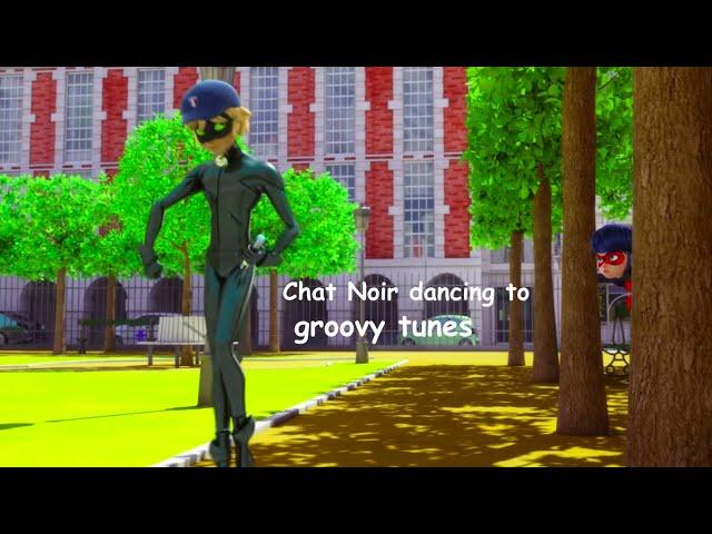 Chat Noir Dancing to groovy tunes