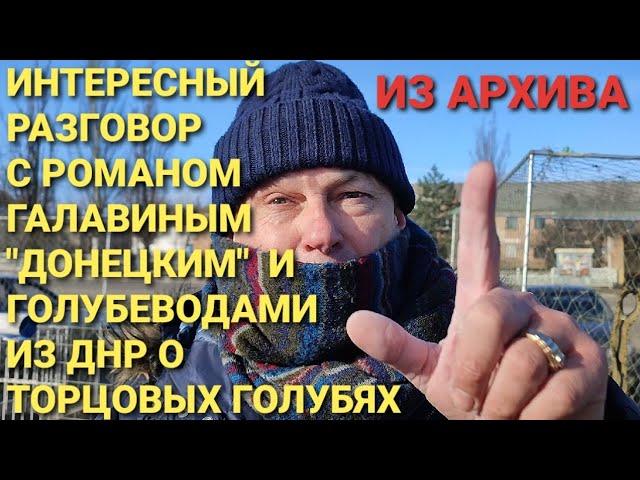 Интересный разговор с Романом Галавиным "Донецким"  и голубеводами из ДНР о торцовых голубях. Pigeon