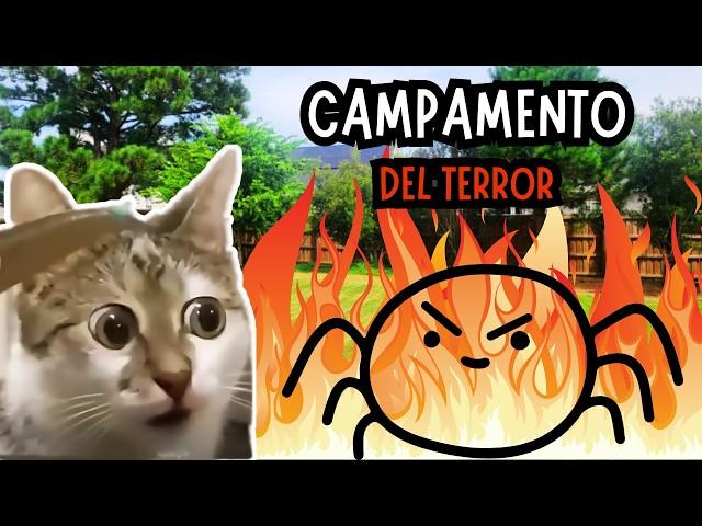 CAMPAMENTO DEL TERROR , anécdotas random (meme de gatos)