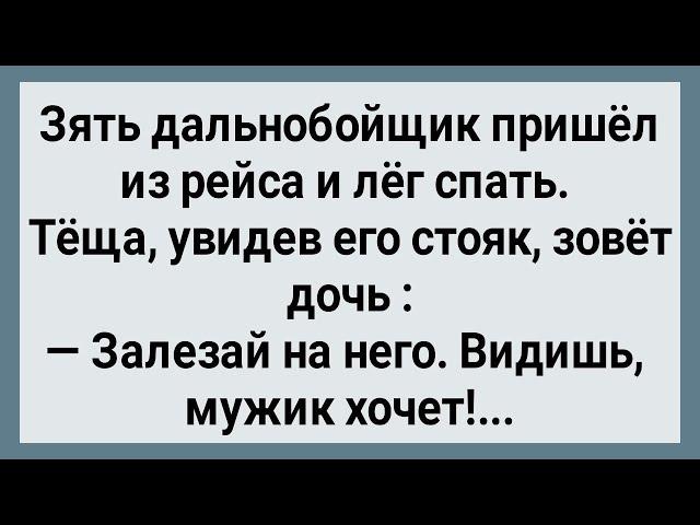 Как Теща Зятю с Эрекцией Помогла! Сборник Свежих Анекдотов! Юмор!