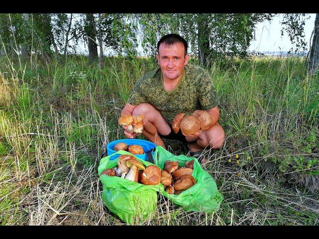 УРОЖАЙ БЕЛЫХ ГРИБОВ. Фруктовый сад. Урожай картофеля, груш, яблок. ЖИЗНЬ В ГЛУХОЙ ДЕРЕВНЕ.