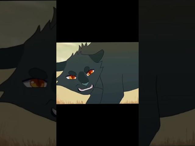 Голос Ветерка) #warriorcats #Breezepelt #Ветерок #Котывоители