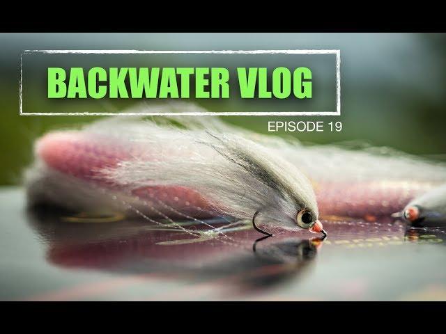 Mini Craft Fur Mullet Baitfish Fly: Backwater Vlog 19