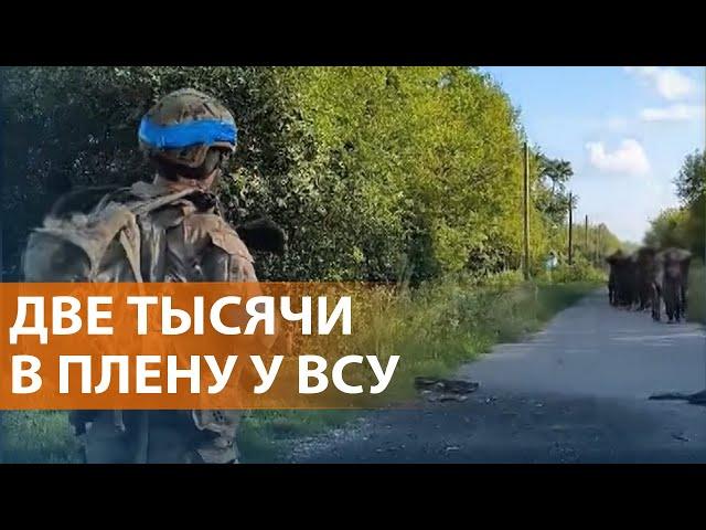 НОВОСТИ: Под Курском сотни военных захвачены в плен. Переговоры об обмене. Наступление на Покровск