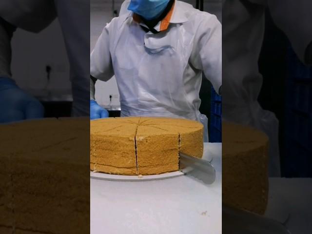 how to make a cake chechen #youtubeshorts #shortvideo #shorts