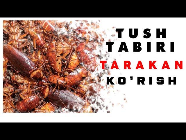 Tushda Tarakan Ko'rish Tabiri