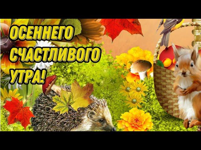 ОСЕННЕГО СЧАСТЛИВОГО УТРА!