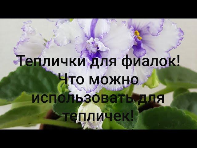 Теплица для фиалок. Что можно использовать!