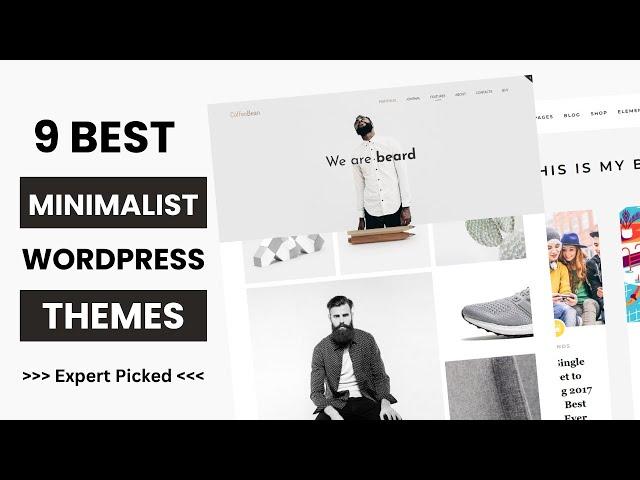 9 Best Minimalist WordPress Themes 2024 | Creative Themes