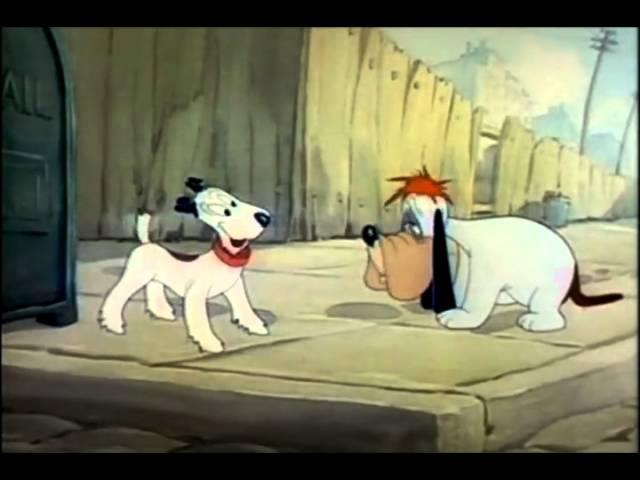 Мультфильмы от Tex Avery: Droopy. Собачья болтовня.