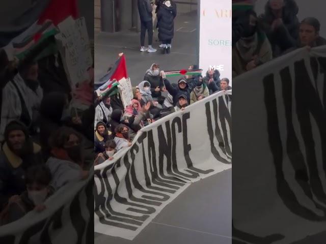 German police violently arrest anti-genocide protesters