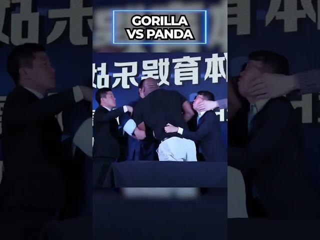 This Fighter Is a Real Life Kungfu Panda!