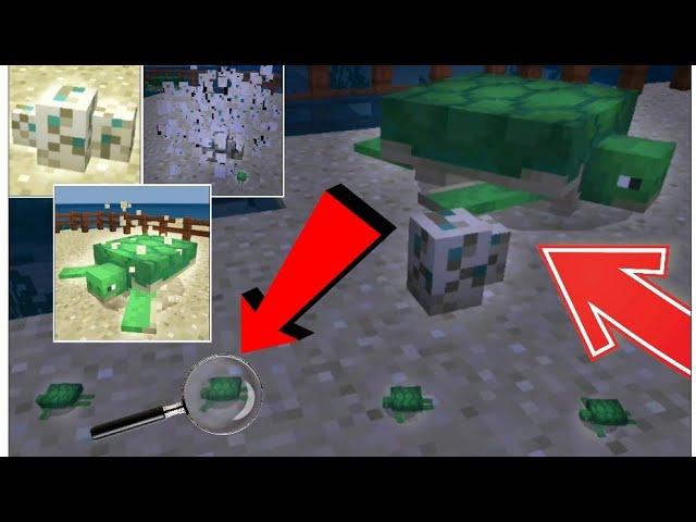 МОМЕНТ ВЫЛУПЛЕНИЯ ЧЕРЕПАШОНКА В MINECRAFT PE 1.5.0.4 | РОЖДЕНИЕ ЧЕРЕПАХИ И ЕЁ ЖИЗНЬ