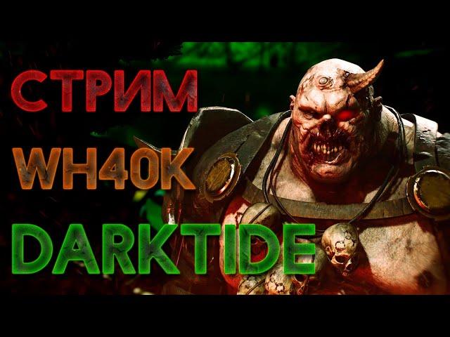 Warhammer 40.000 Darktide Изувер Проповедник #NUGAMAN