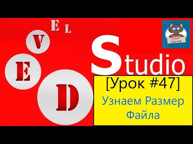 PHP Devel Studio [Урок #47] - Узнаем Размер Файла