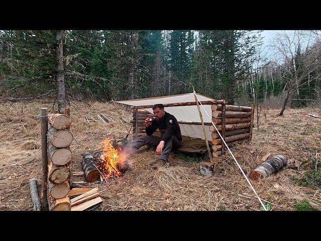 Disappear into the Wild Forest: My 5 Steps to Create a Comfortable Shelter for Survival