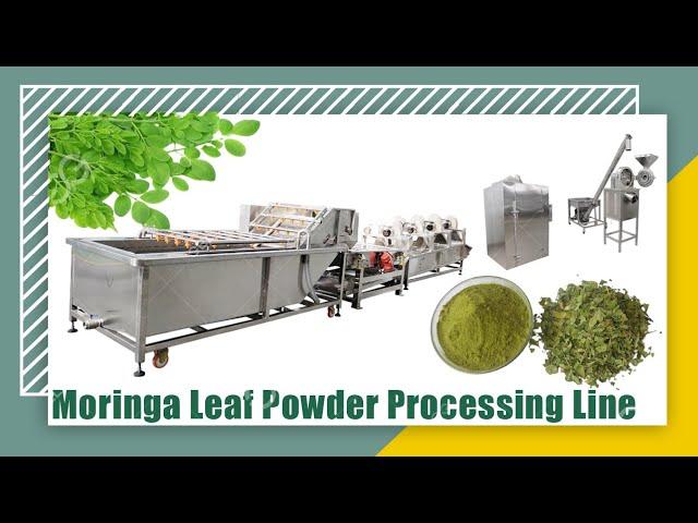 Moringa Leaf Powder Processing Machine Washing Dehydrating Grinding Packaging