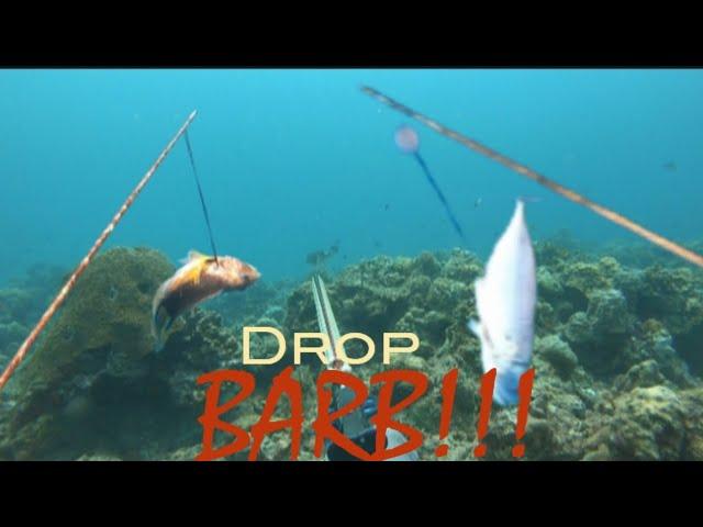 Spearfishing Bontoc and  Macrohon Southern Leyte !!! SilentHunter Bogoi ( SB69)