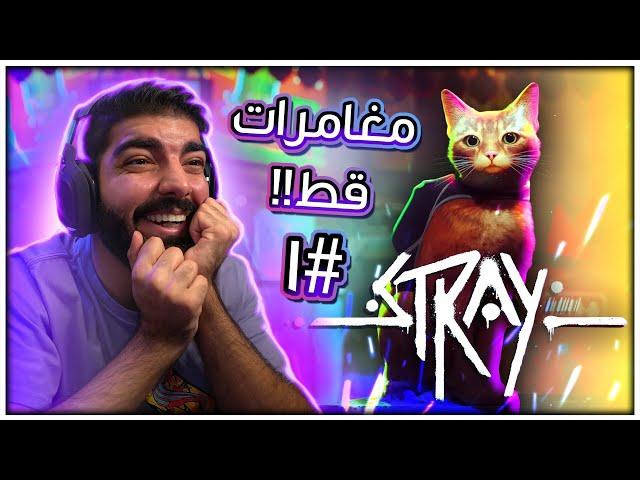 مغامرات قط !!  - Stray #1