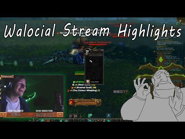 Getting Insanely Rare Pets!.. And Other Stream Highlights from August