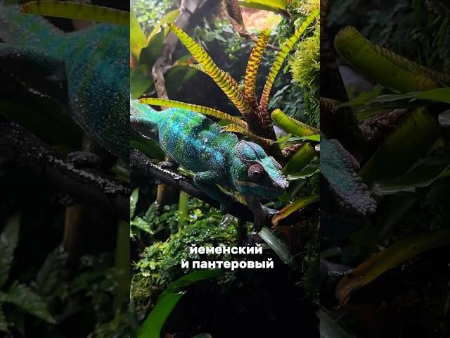 BIOBOX представляет️