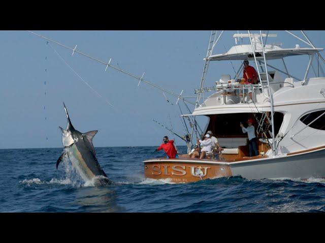 MONSTER Black Marlin Fishing in Panama