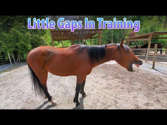 Little Gaps In Training For Mr. Wildie