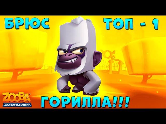 ГОРИЛЛА БРЮС ЛОМАЕТ КАБИНЫ ЗА ТОП 1 В ИГРЕ ZOOBA: Free for all