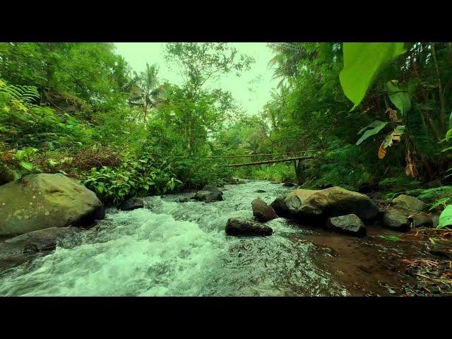 Mountain stream, river sound, nature sounds, water sounds, white noise for sleeping and Relaxation,