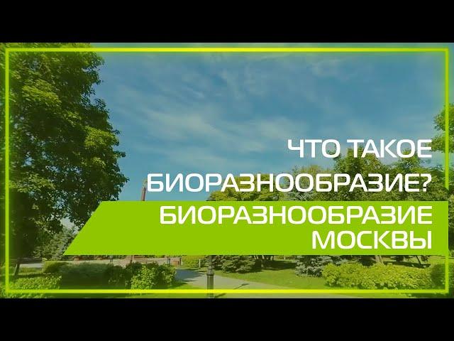 Видео 360 | Что такое биоразнообразие? Биоразнообразие Москвы