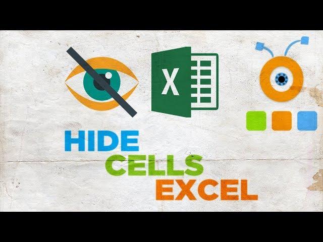 How to Hide Cells in Excel | How to Hide Row or Column in Excel