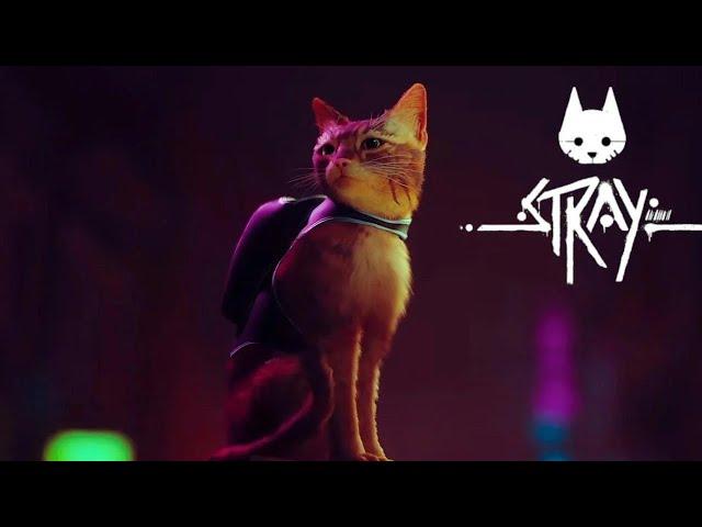 Новая игра 2022 Stray [trailer]