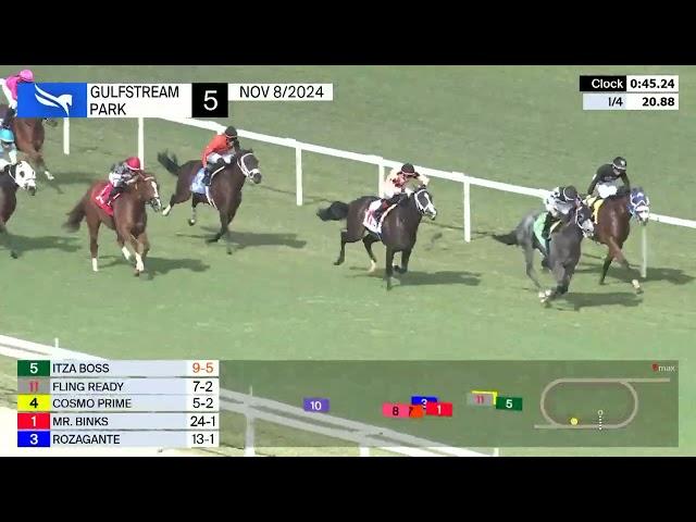 Gulfstream Park Carrera 5 - 8 de Noviembre 2024