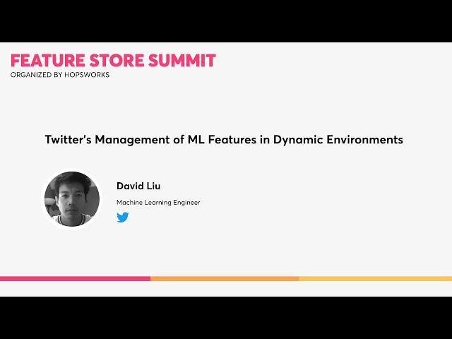 Twitter - Twitter's management of ML features in dynamic environments