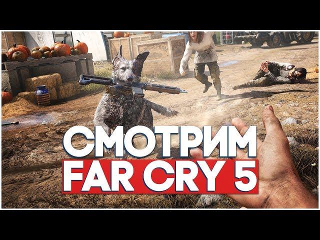 FAR CRY 5 - НОВЫЙ ШЕДЕВР ОТ UBISOFT ИЛИ ОЧЕРЕДНОЙ КАЛЛ?