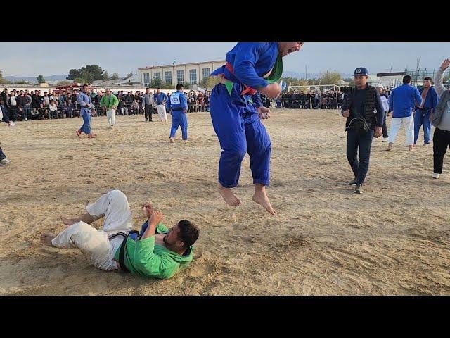 Qashqadaryoda katta kurash tavoqlar boshlandi 1.11.2024