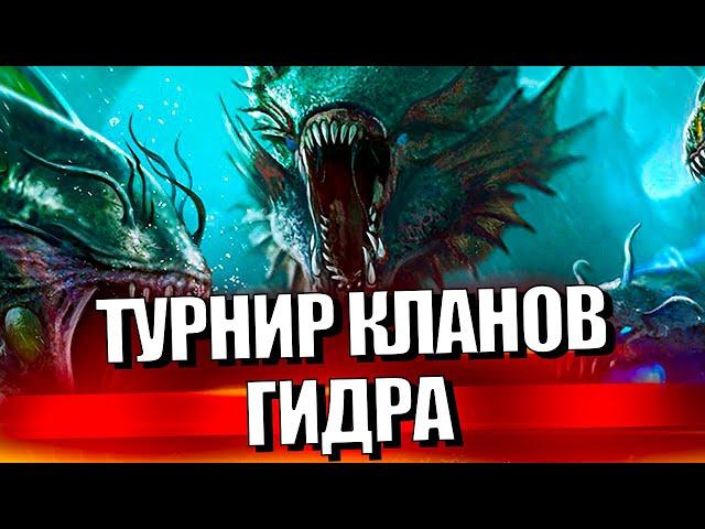 Стрим № 356 Капитан Пёсик Raid Shadow Legends