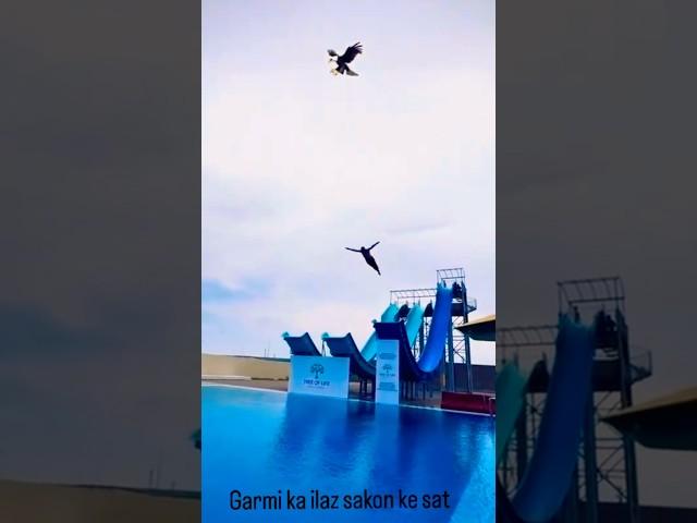 Dekha h kbhi esa mahol  #trending #shortvideos #shortvideo #shorts #youtubeshorts #ytshorts