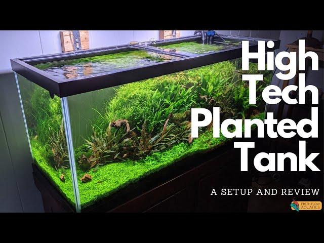 My First Hi-Tech Planted Tank: A Casual Guide & Tips