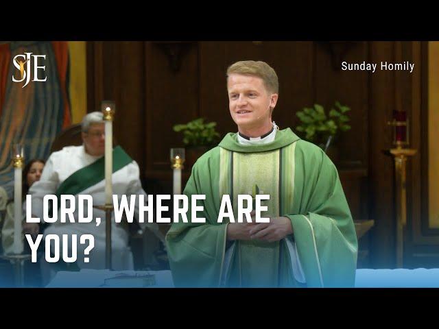 Sunday Homily | Lord, Where are you? | Fr. Declan McNicholas