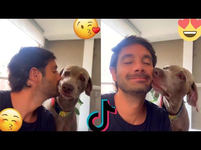 KISS YOUR DOG ON THE HEAD PART 4  TIKTOK TRENDS ️CUTE AND SWEET DOGS 