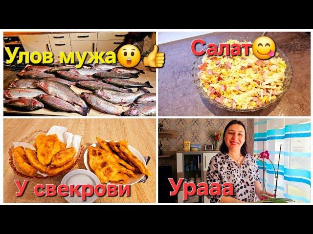 Влоги/Улов мужа/Новый Салат/У свекрови/ Урааа