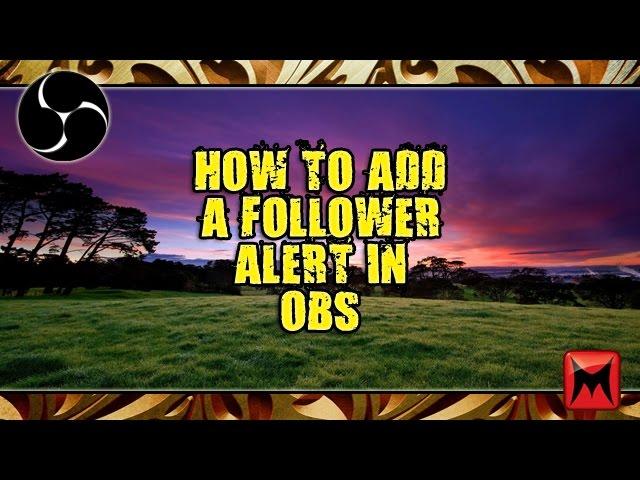 How To Add A Follower Alert In OBS!