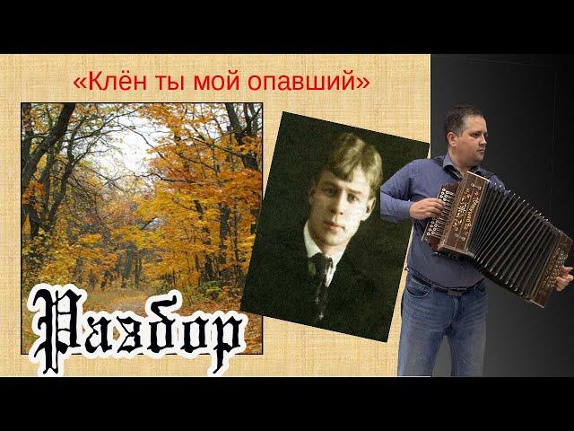 Клен, ты мой опавший // разбор на гармони и баяне по цифрам