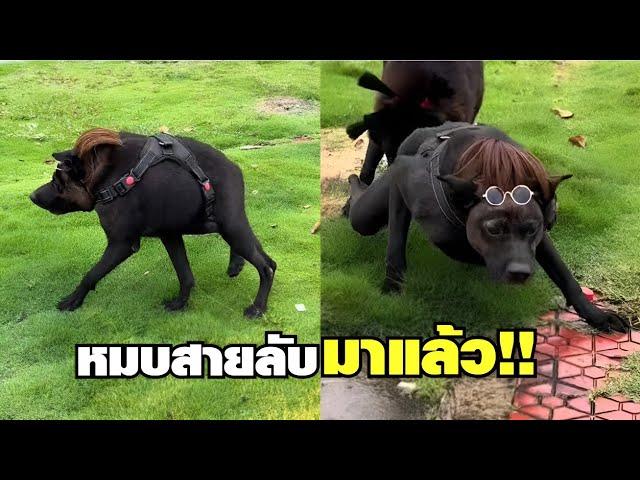 หมบสายลับ เคยเห็นมั้ยครับพี่ !! ( พากย์นรก )