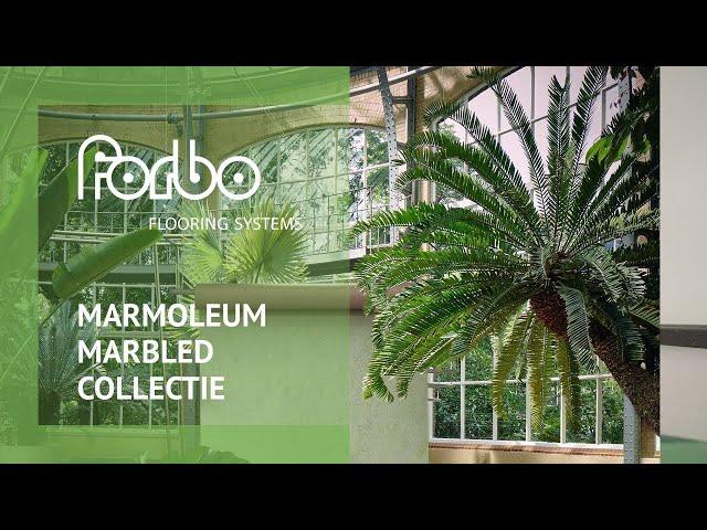 Marmoleum Marbled | Forbo Flooring NL